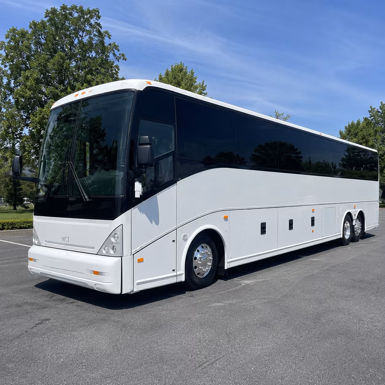 alexandria charter bus