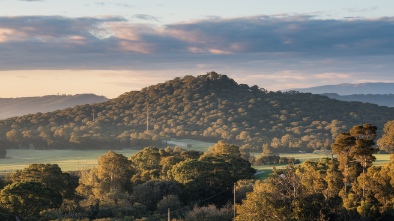 black hill regional park